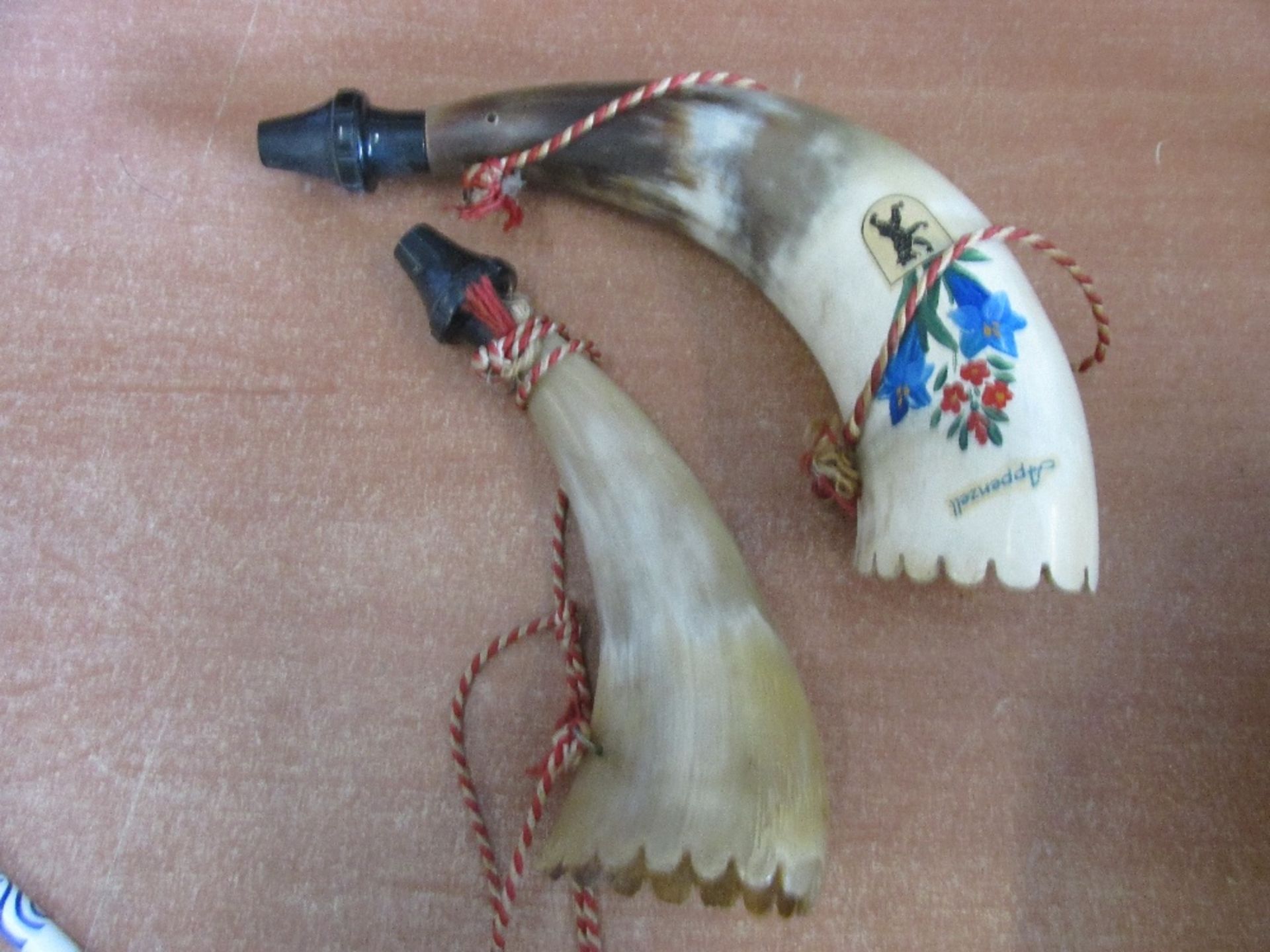 2 Decorative Horns