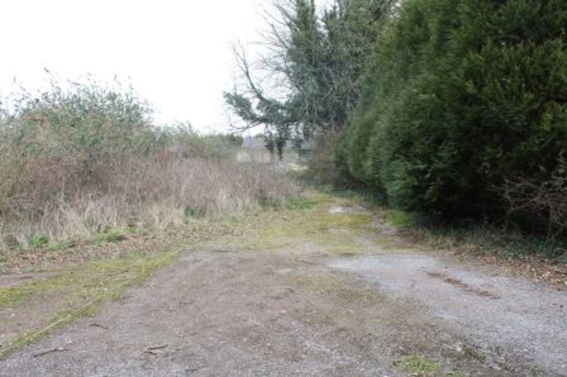 WORTHING & LITTLEHAMPTON AREAS - LAND WITH POTENTIAL IN SOUGHT AFTER VILLAGE