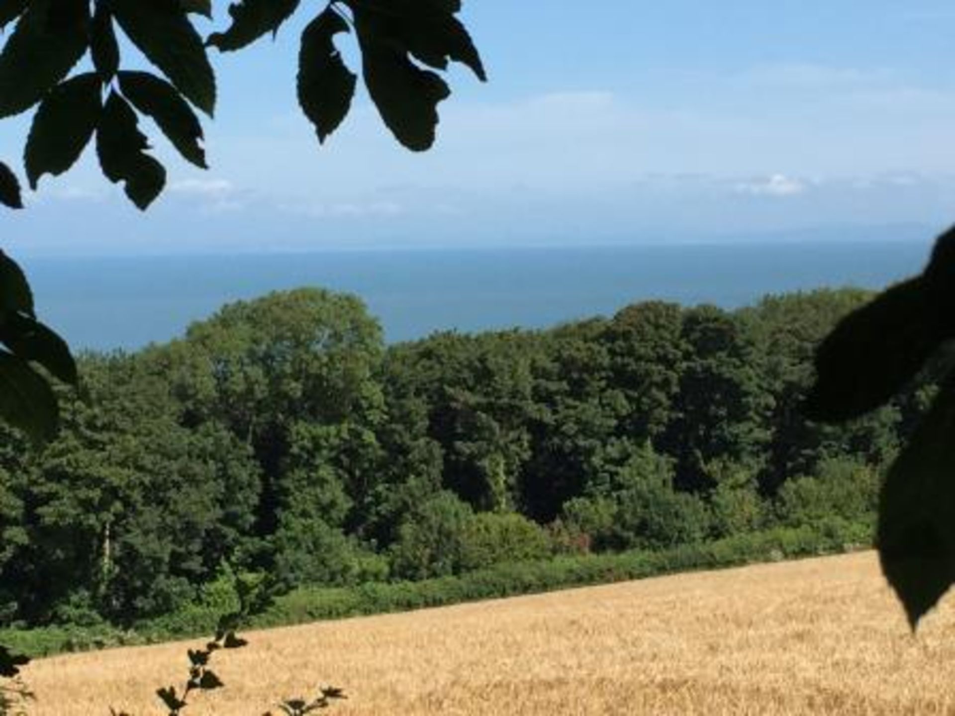 NORTH DEVON - COASTAL WOODLAND EXTENDING TO 9.5 ACRES