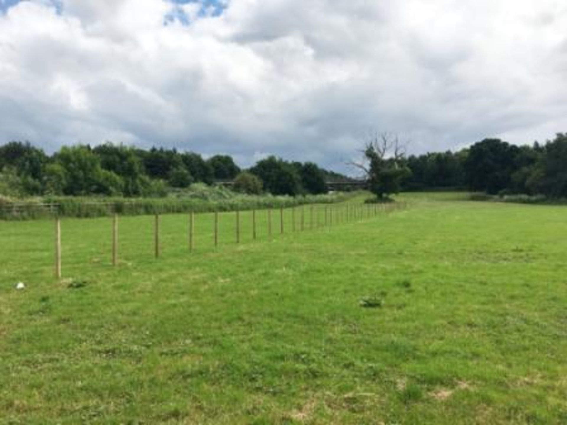 EXETER AREA - FOUR ACRES OF FREEHOLD LAND