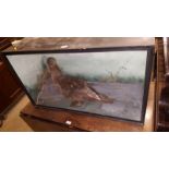 A cased and preserved study of a cormorant in glazed case