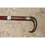 A horn mounted walking cane with white metal colla