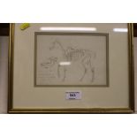 Beatrix Hope Evans, sketch entitled 'Horse Skeleto