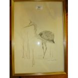 George W Miller, watercolour study of a heron; tog