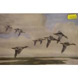 Eight various framed prints depicting ducks