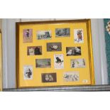 A collection of framed post-cards depicting cats