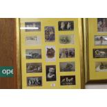 A framed collection of post-cards depicting cats