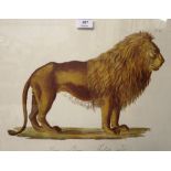 A pair of coloured prints depicting a lion and an