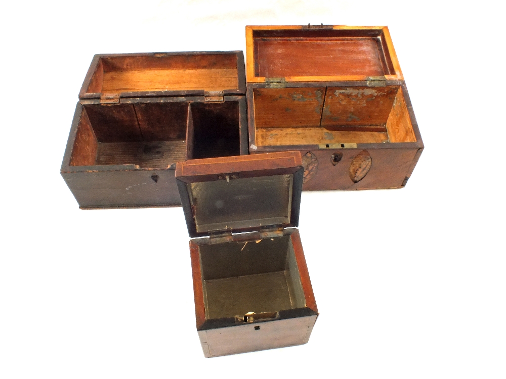 Three 19th Century tea caddies - Image 2 of 2