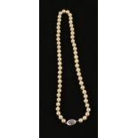 A single row of ornate Cultured Pearls, each of the fifty six Pearls measuring 7.