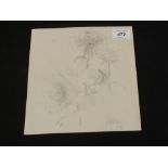 Unframed pencil sketch of a floral study, bears signature Fedden 1971,