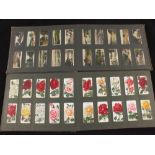 Two albums of various cigarette cards