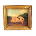 Gilt framed oil on board of a spotted pig,