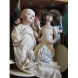 Various porcelain head dolls