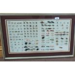 A framed group of various freshwater flies,