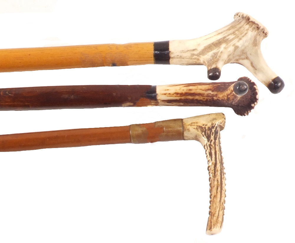 Two walking sticks with Deer Horn tops and a vintage riding crop
