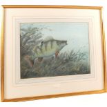 An original watercolour by Simon Trinder of a Carp, 11 1/2" x 15 1/2", signed bottom right, mounted,