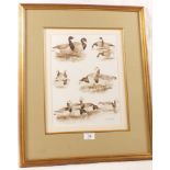 An original signed sepia watercolour by Richard Robjent, "Study of Geese", 13" x 9 1/2", mounted,