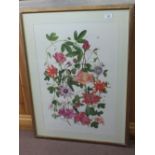 A large botanical watercolour and various botanical prints