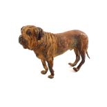 A Bergman cold painted Austrian Bronze model of a St Bernard dog,