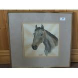 Maggie Scott watercolour of a horses head, titled Briar,