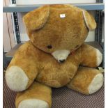 A Teddy bear of generous proportions