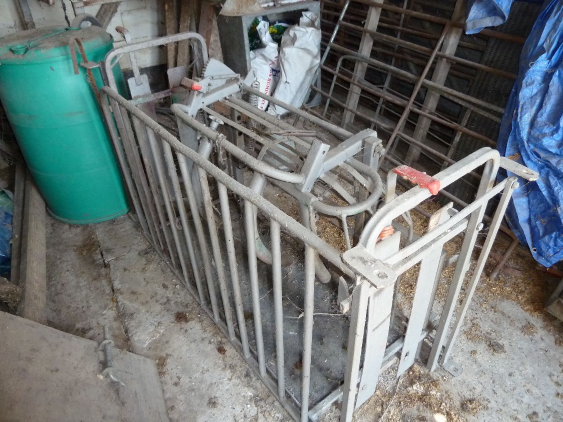 Sheep turnover crate. Stored near Beccles. No VAT on this item. - Image 3 of 3