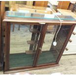 A reproduction Mahogany mirror backed two door glazed display cabinet