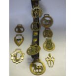 collection of horse brasses