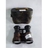 Sandown pair of Binoculars