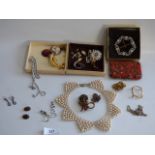 Tray containing assorted costume jewelry