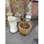 Terracotta Planter and a Cast Concrete Plinth