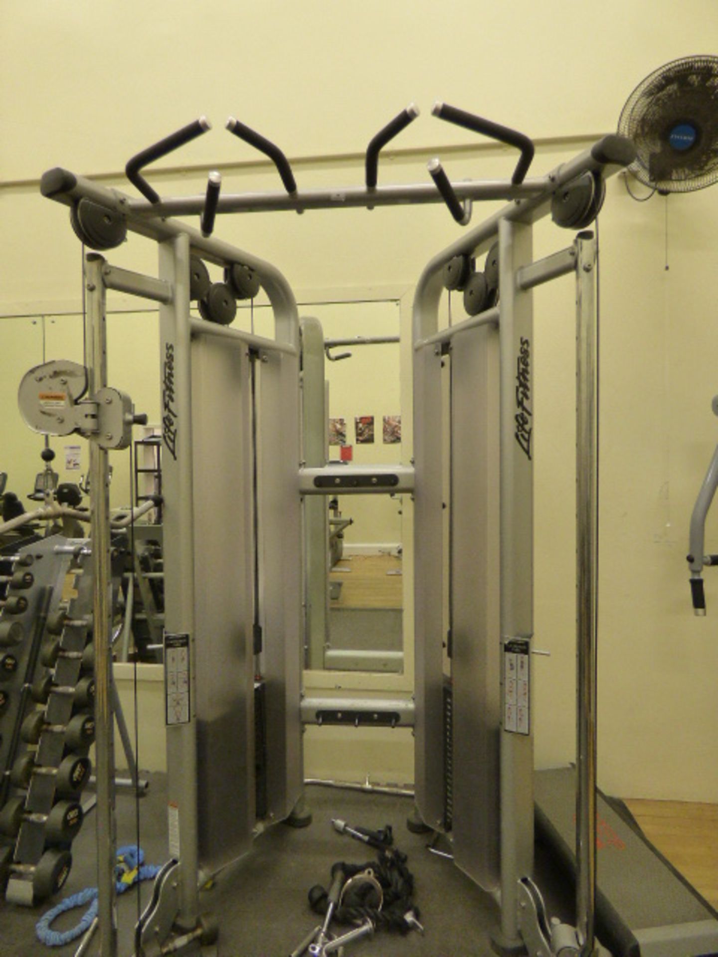 *Life fitness dual adjustable pulley