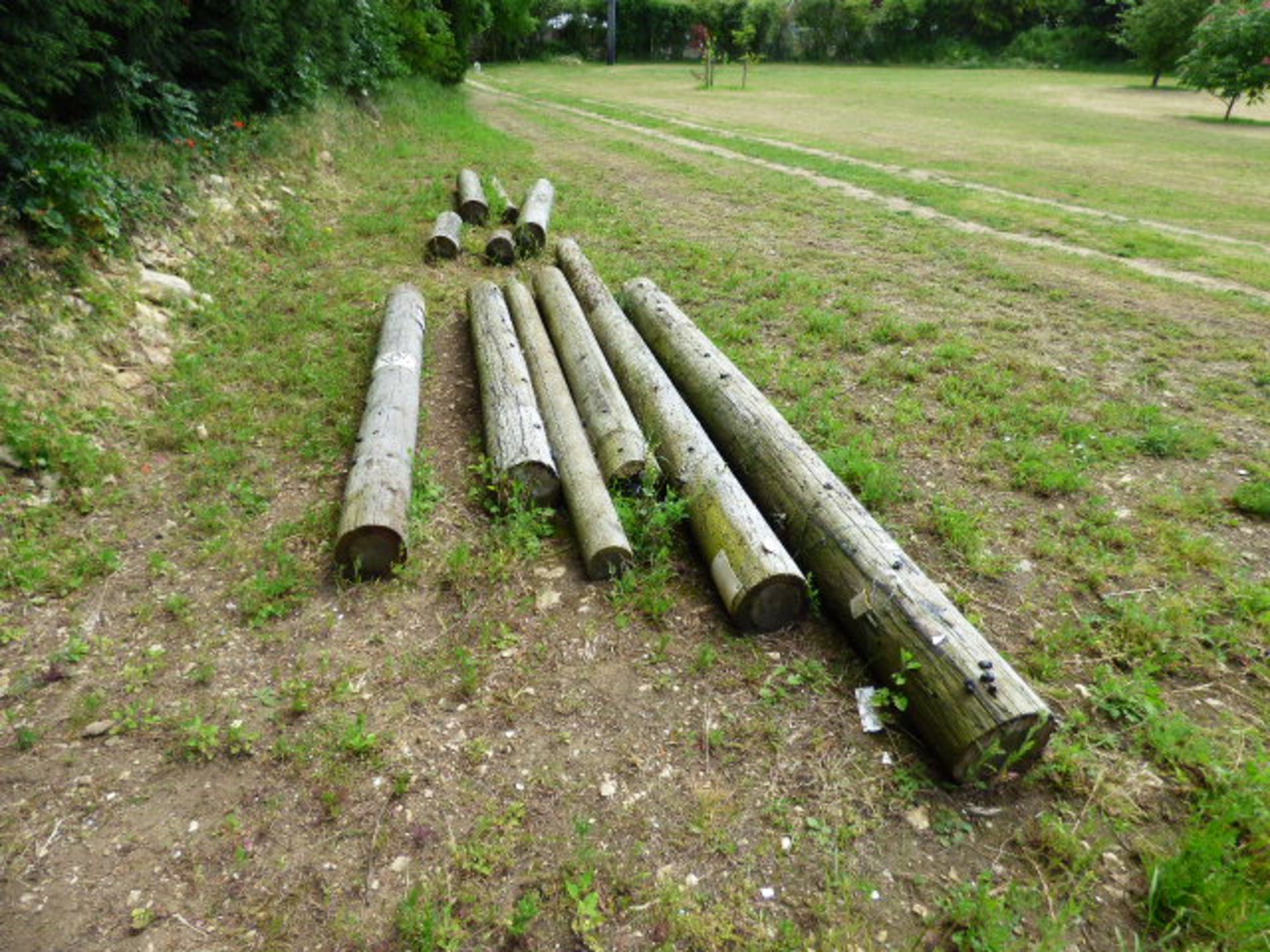 Assorted Cut-Length Telegraph Poles