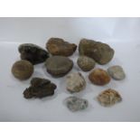 Collection of Geological Samples