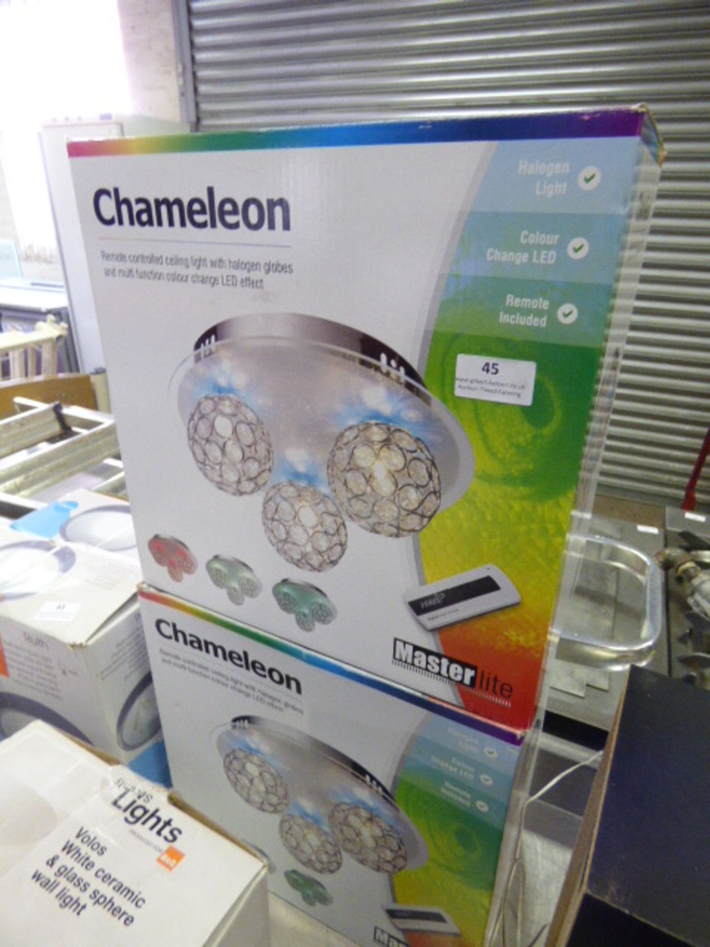 *Two Chameleon Ceiling Lights