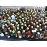 Large Quantity of Miniature Whisky Bottles