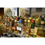 Large Selection of Miniature Liqueurs and Spirits