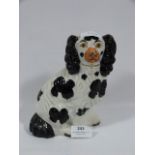 Staffordshire Spaniel Dog