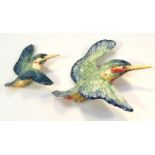 Two Beswick graduated Kingfisher wall hanging birds, comprising 729-1, 17cm high and 729-3,