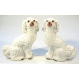 A pair of early 20thC Staffordshire flat back spaniels, each in white with gilt highlights and black