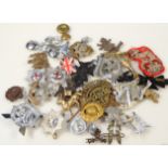 Various 20thC metal iron on and other cap badges, to include lion and crown embroidered badge, 8cm