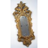 A rococo design gilt wood mirror, with slender glass in a scroll frame surrounded by heavily