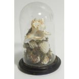 A small Victorian shell ornament, with applied moss, under a glass dome, 26cm high.