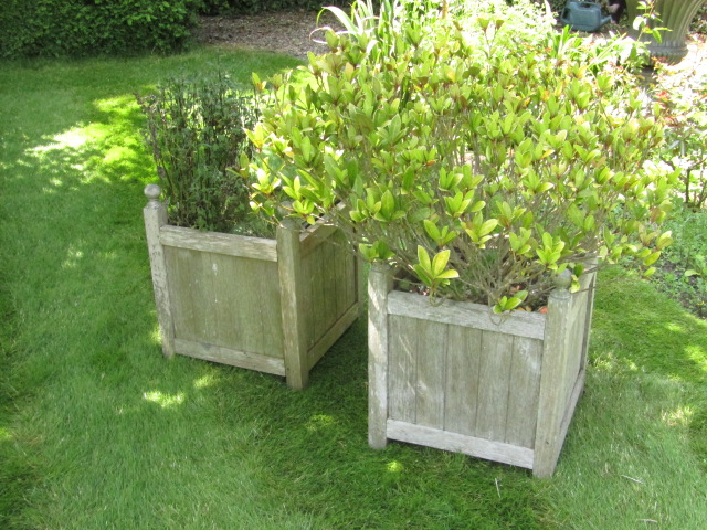 A set of four hardwood planters, and contents, 44cm square.