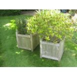 A set of four hardwood planters, and contents, 44cm square.