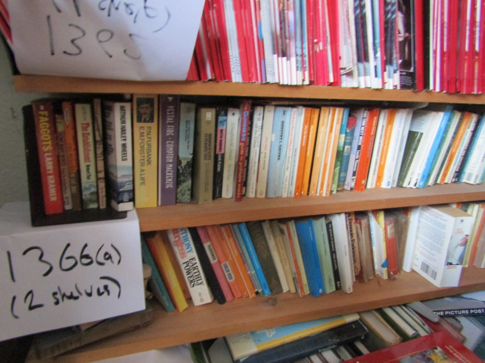 A quantity of mixed literature, mainly Penguin paperbacks (2 shelves)