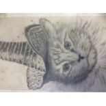 SAW (20thC School). Kitten in hat, Louis Wain style, pencil, initialled, 20cm x 12cm.