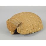 An early 20thC taxidermy armadillo shell, 20cm wide.