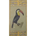 Middle Eastern School. Toucan, watercolour, 17cm x 8cm.